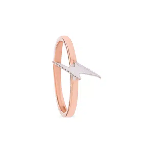 Flash ring - Image 2